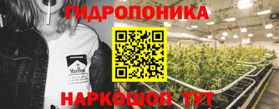 мяу мяу кристалл Гусь-Хрустальный
