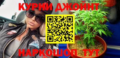 гашик Гусев