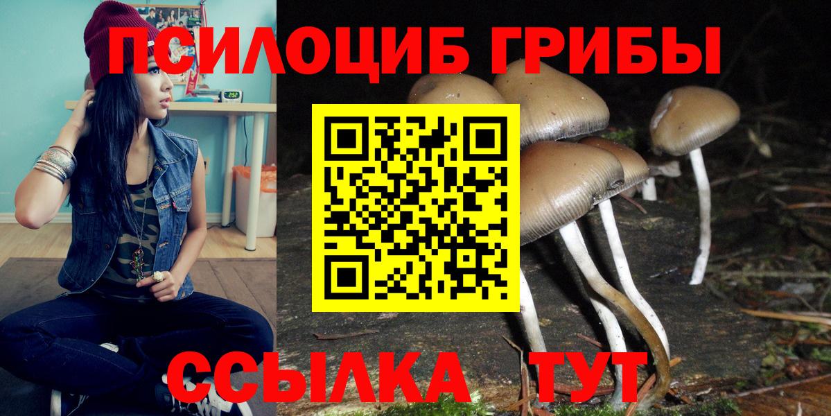 Псилоцибиновые грибы Magic Shrooms Калининград
